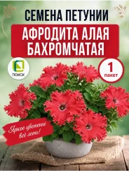 Петуния бахромчатая Афродита алая