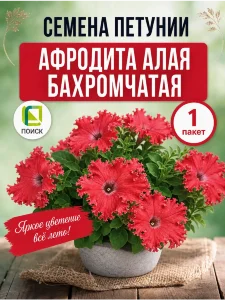 Петуния бахромчатая Афродита алая Петуния бахромчатая Афродита алая