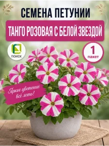 Петуния крупноцветковая Танго Розовая с белой звездой Петуния крупноцветковая Танго Розовая с белой звездой