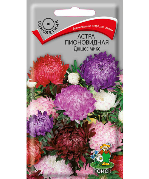 Астра пионовидная Дюшес Микс семена