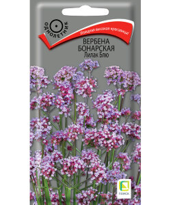 Вербена бонарская Лилак блю