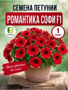 Петуния гибридная Романтика Софи (ПРОФИ) Петуния гибридная Романтика Софи (ПРОФИ)