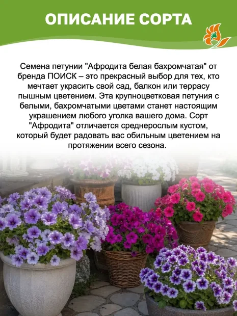 Петуния бахромчатая Афродита белая семена