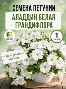 Петуния грандифлора Аладдин Белая Петуния грандифлора Аладдин Белая