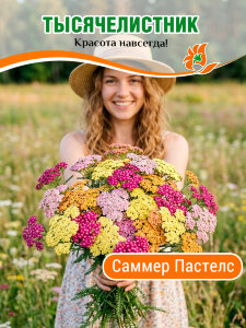 Тысячелистник обыкновенный Саммер Пастелс Тысячелистник обыкновенный Саммер Пастелс