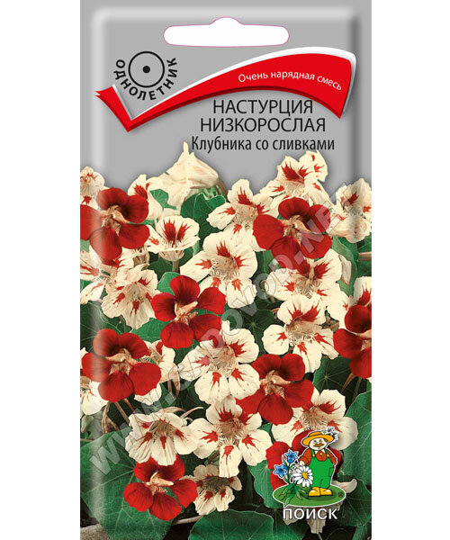 Настурция Клубника со сливками (низкорослая) семена