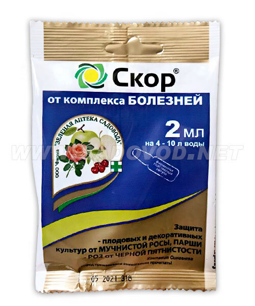 Скор