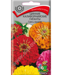 Цинния Калифорнийские Гиганты Смесь окрасок