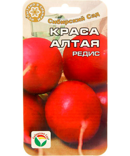 Редис Краса Алтая семена 