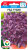 Базилик Ред Рубин семена 