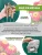 Георгин Бригитта Алида (декоративный)