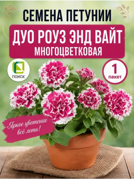 Петуния махровая многоцветковая Дуо Роуз энд Вайт семена