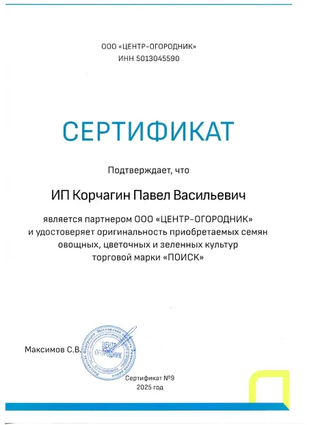 Петуния махровая многоцветковая Дуо Роуз энд Вайт семена
